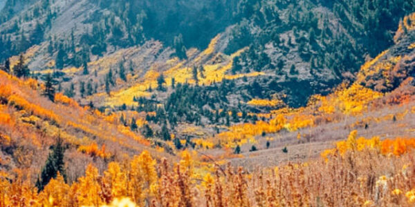 cropped-McGee-Canyon-Hiking-Sierra-Nevadas.jpg
