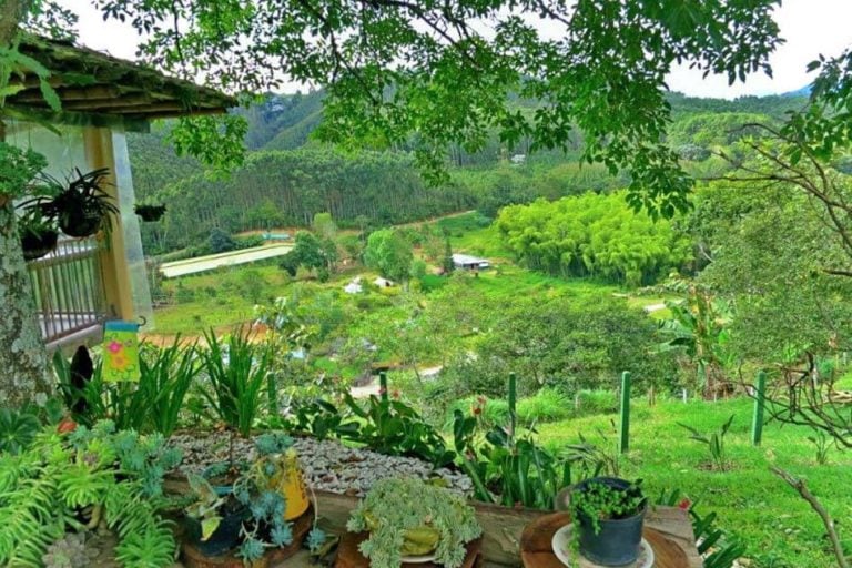 Colombian Coffee Farm Tour in Salento The Best Coffee Experience