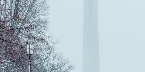 Washington Monument on a snowy day in Washington, DC, with elm trees, lamp posts, and visitors.