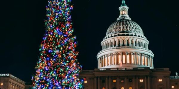 The lit up Christmas tree in front of the Capitol at night time in Washington DC.