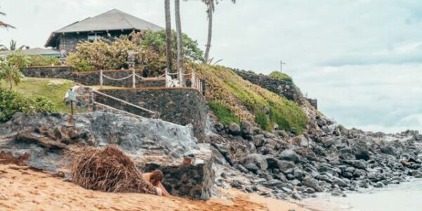 Turtle on the beach in Maui, Hawaii