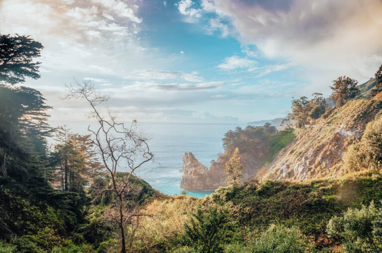 14 Beautiful Big Sur Campgrounds: The Best Camping in Big Sur, California