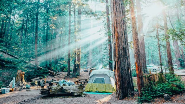 14 Beautiful Big Sur Campgrounds: The Best Camping in Big Sur, California