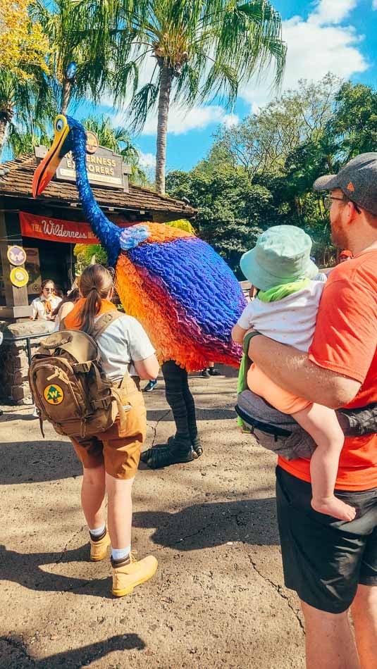 Baby looking at Kevin the bird from Up in Animal Kingdom, Walt Disney World Resort, Florida