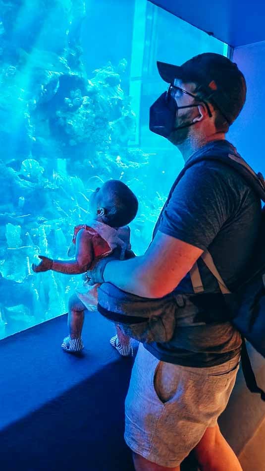 Dad and Baby at Aquarium in Epcot in Disney World