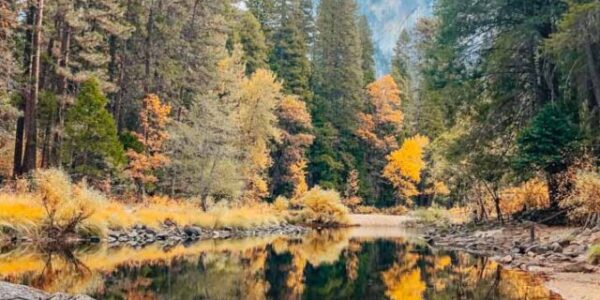 cropped-Creek-in-Yosemite-CA.jpg