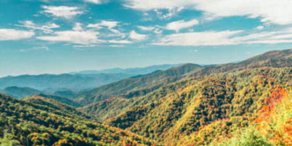 A scenic view of fall trees in Great Smoky Mountains National Park