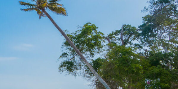 Beautiful,Playa,Blanca,Or,White,Beach,On,The,Caribbean,Island