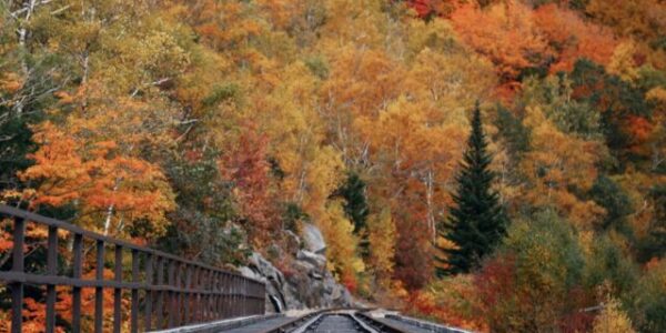 New Hampshire Fall Colors