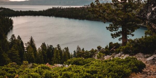 cropped-alec-krum-lake-tahoe-unsplash.jpg